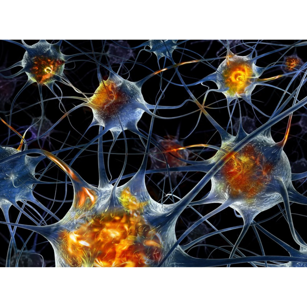 Pulsed Electro-Magnetic Fields & Microcurrent