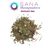 Sana Therapeutics Tea: Immuni-Tea - The Sana Shop
